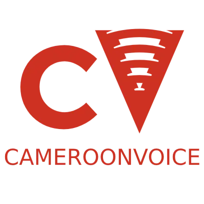 Le bilinguisme officiel camerounais. Dangereux alibi ou chance inouïe?  - Cameroonvoice